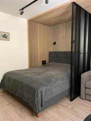 Apartamentai Juodkrantėje KURŠIS, 1-o kambario, Kalno g. 36, Neringa